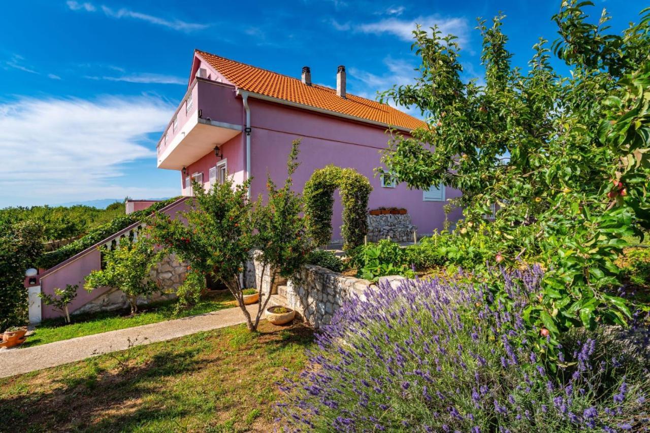 Villa Eagle Benkovac Exterior foto